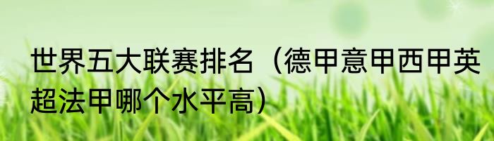世界五大联赛排名（德甲意甲西甲英超法甲哪个水平高）