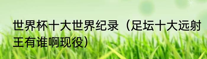 世界杯十大世界纪录（足坛十大远射王有谁啊现役）