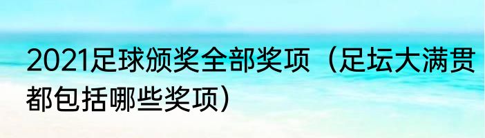 2021足球颁奖全部奖项（足坛大满贯都包括哪些奖项）