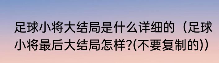 足球小将大结局是什么详细的（足球小将最后大结局怎样?(不要复制的)）