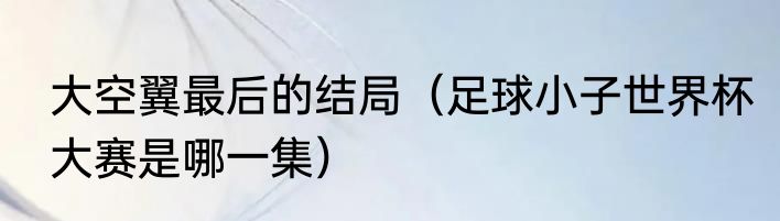 大空翼最后的结局（足球小子世界杯大赛是哪一集）