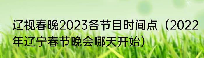 辽视春晚2023各节目时间点（2022年辽宁春节晚会哪天开始）