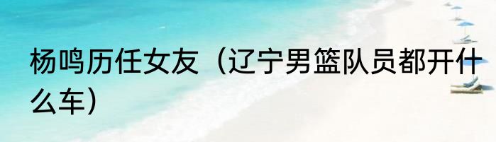 杨鸣历任女友（辽宁男篮队员都开什么车）