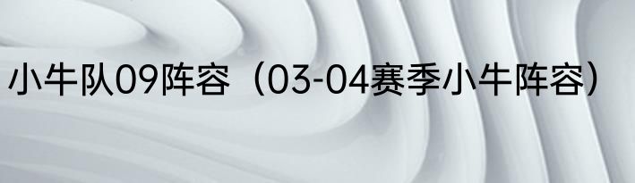 小牛队09阵容（03-04赛季小牛阵容）
