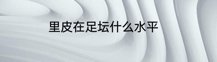 里皮在足坛什么水平