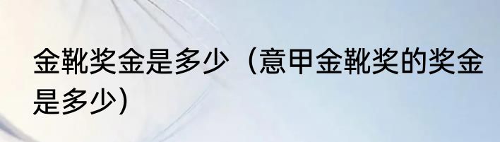 金靴奖金是多少（意甲金靴奖的奖金是多少）