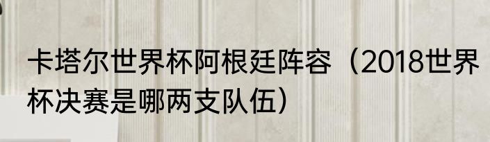 卡塔尔世界杯阿根廷阵容（2018世界杯决赛是哪两支队伍）