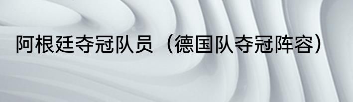 阿根廷夺冠队员（德国队夺冠阵容）