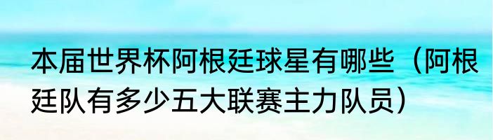 本届世界杯阿根廷球星有哪些（阿根廷队有多少五大联赛主力队员）