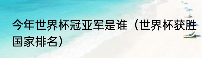 今年世界杯冠亚军是谁（世界杯获胜国家排名）