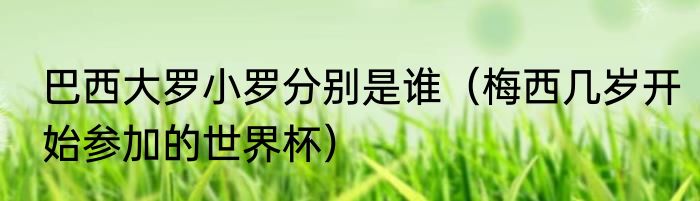 巴西大罗小罗分别是谁（梅西几岁开始参加的世界杯）