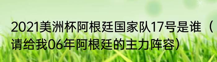 2021美洲杯阿根廷国家队17号是谁（请给我06年阿根廷的主力阵容）