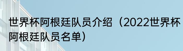 世界杯阿根廷队员介绍（2022世界杯阿根廷队员名单）