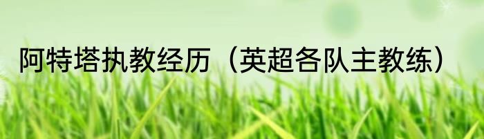 阿特塔执教经历（英超各队主教练）