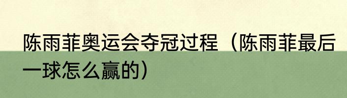 陈雨菲奥运会夺冠过程（陈雨菲最后一球怎么赢的）
