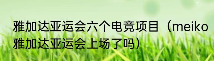 雅加达亚运会六个电竞项目（meiko雅加达亚运会上场了吗）