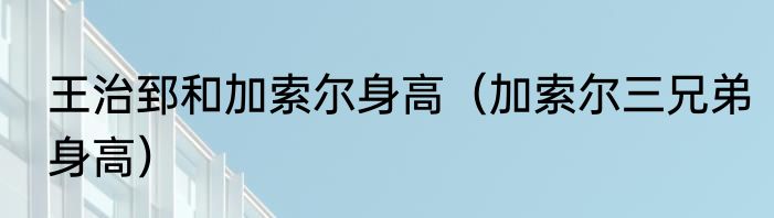 王治郅和加索尔身高（加索尔三兄弟身高）