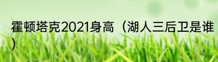 霍顿塔克2021身高（湖人三后卫是谁）