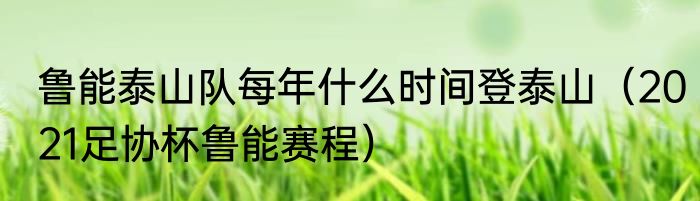 鲁能泰山队每年什么时间登泰山（2021足协杯鲁能赛程）