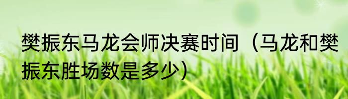 樊振东马龙会师决赛时间（马龙和樊振东胜场数是多少）