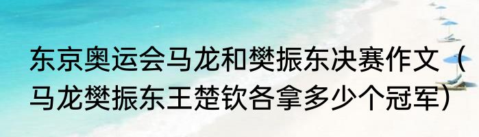 东京奥运会马龙和樊振东决赛作文（马龙樊振东王楚钦各拿多少个冠军）