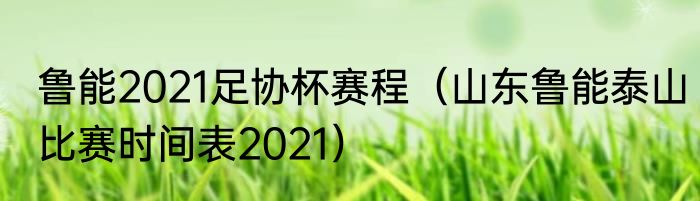 鲁能2021足协杯赛程（山东鲁能泰山比赛时间表2021）