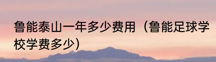 鲁能泰山一年多少费用（鲁能足球学校学费多少）