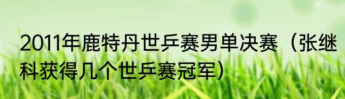 2011年鹿特丹世乒赛男单决赛（张继科获得几个世乒赛冠军）