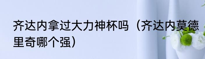 齐达内拿过大力神杯吗（齐达内莫德里奇哪个强）