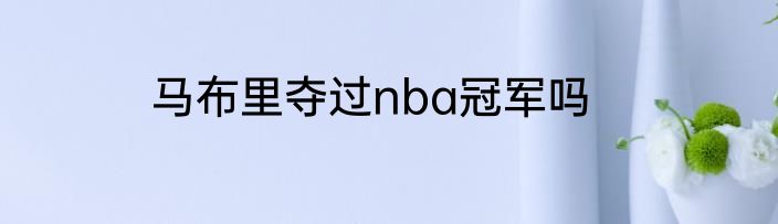 马布里夺过nba冠军吗