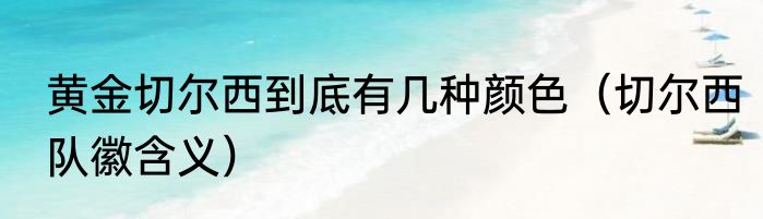 黄金切尔西到底有几种颜色（切尔西队徽含义）