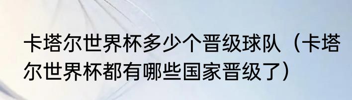 卡塔尔世界杯多少个晋级球队（卡塔尔世界杯都有哪些国家晋级了）