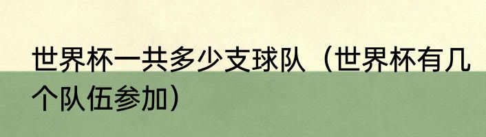 世界杯一共多少支球队（世界杯有几个队伍参加）