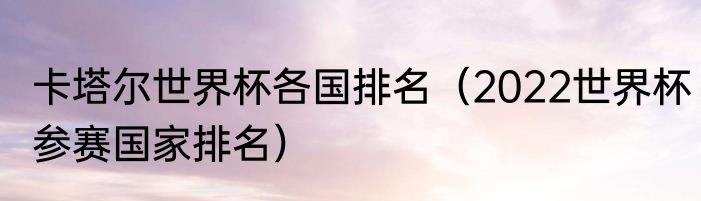 卡塔尔世界杯各国排名（2022世界杯参赛国家排名）
