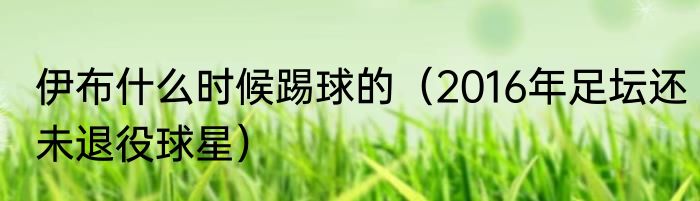 伊布什么时候踢球的（2016年足坛还未退役球星）