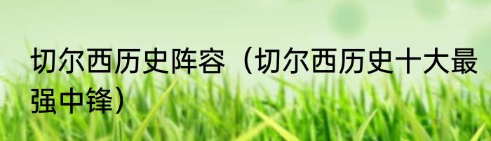 切尔西历史阵容（切尔西历史十大最强中锋）