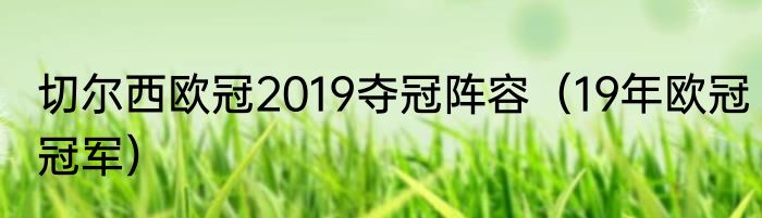 切尔西欧冠2019夺冠阵容（19年欧冠冠军）