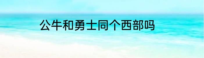 公牛和勇士同个西部吗