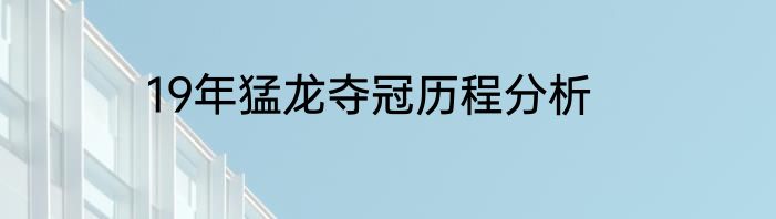19年猛龙夺冠历程分析