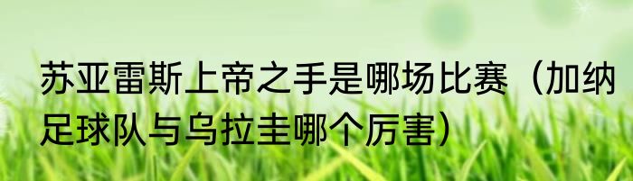 苏亚雷斯上帝之手是哪场比赛（加纳足球队与乌拉圭哪个厉害）