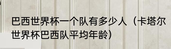 巴西世界杯一个队有多少人（卡塔尔世界杯巴西队平均年龄）