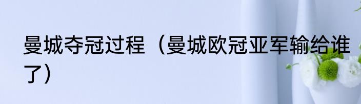 曼城夺冠过程（曼城欧冠亚军输给谁了）