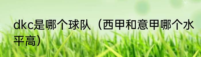 dkc是哪个球队（西甲和意甲哪个水平高）