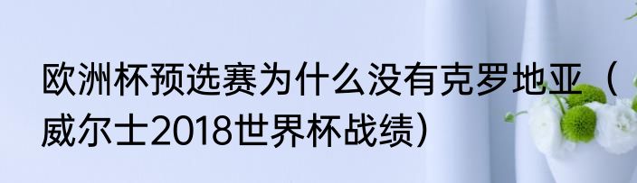 欧洲杯预选赛为什么没有克罗地亚（威尔士2018世界杯战绩）