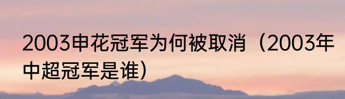 2003申花冠军为何被取消（2003年中超冠军是谁）