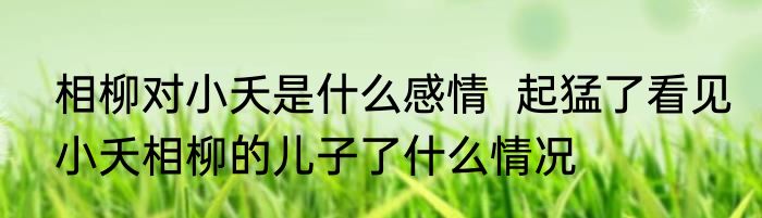相柳对小夭是什么感情  起猛了看见小夭相柳的儿子了什么情况