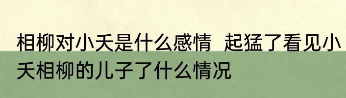 相柳对小夭是什么感情  起猛了看见小夭相柳的儿子了什么情况