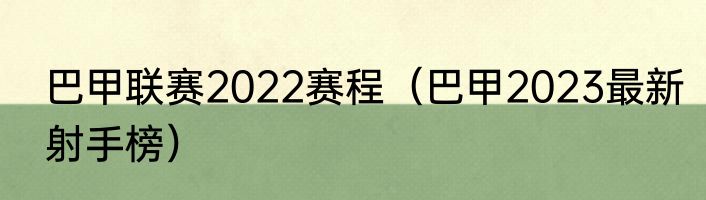 巴甲联赛2022赛程（巴甲2023最新射手榜）