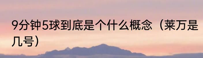 9分钟5球到底是个什么概念（莱万是几号）