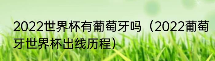 2022世界杯有葡萄牙吗（2022葡萄牙世界杯出线历程）